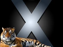 X-tiger